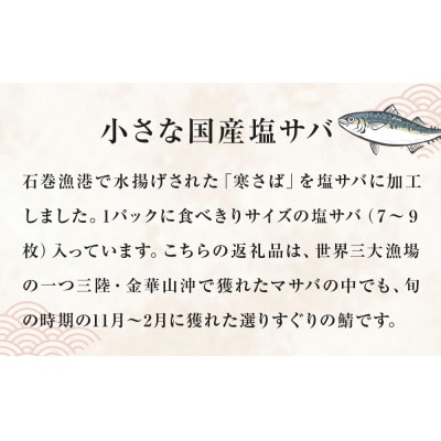 小さな 国産 塩サバ 6kg  ( 200g × 30パック ) 冷凍 サバ 鯖 魚 青魚 塩さば 