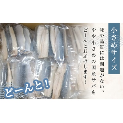 小さな 国産 塩サバ 6kg  ( 200g × 30パック ) 冷凍 サバ 鯖 魚 青魚 塩さば 
