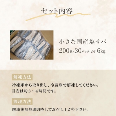 小さな 国産 塩サバ 6kg  ( 200g × 30パック ) 冷凍 サバ 鯖 魚 青魚 塩さば 