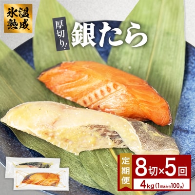 厚切り 銀たら 2種 8切 セット 定期便 全5回(合計4kg )銀たら 銀タラ 銀鱈 漬魚 漬け魚