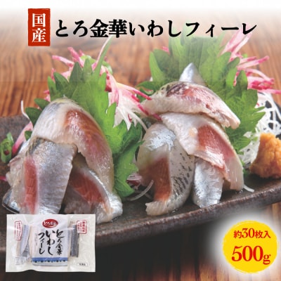 とろ金華いわしフィーレ 500g 金華いわし 鰯 いわし イワシ フィレ 切身 魚 魚介 海鮮 魚