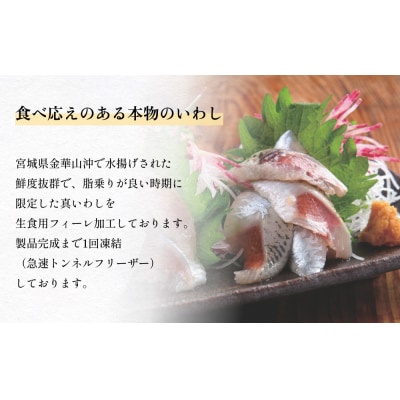 とろ金華いわしフィーレ 500g 金華いわし 鰯 いわし イワシ フィレ 切身 魚 魚介 海鮮 魚