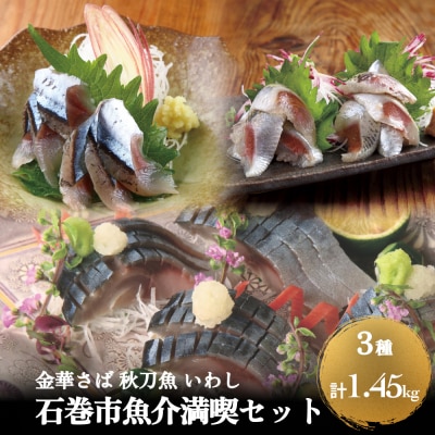 金華さば 秋刀魚 いわし 石巻市魚介満喫セット 鯖 サバ サンマ さんま 鰯 イワシ セット フィレ