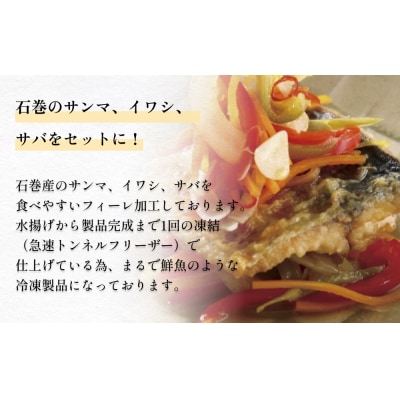 金華さば 秋刀魚 いわし 石巻市魚介満喫セット 鯖 サバ サンマ さんま 鰯 イワシ セット フィレ