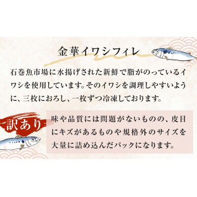 訳あり 金華 イワシ フィレ 1kg ( 500g × 2P ) 宮城県産 いわし 鰯 フィーレ