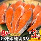 【訳あり】冷凍 銀鮭 切り身 1kg × 3回 定期便 鮭切身 シャケ サーモン 塩鮭