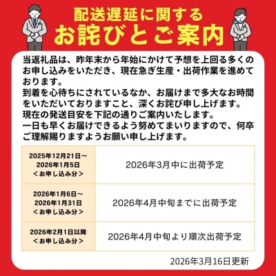 《訳あり》 産地直送! 国産銀鮭 定塩切身 0.9kg 冷凍 鮭 切り身 石巻市