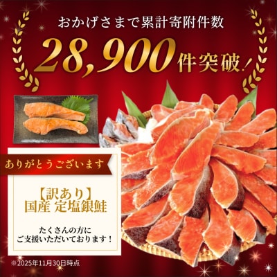 《訳あり》 産地直送! どっさり 2.7kg! 国産銀鮭 定塩切身 冷凍 鮭 切り身 石巻市