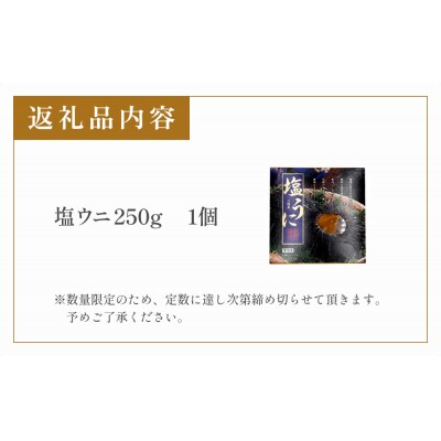 <数量限定>三陸産塩ウニ250g 冷凍 雲丹 塩うに うに 生うに 珍味 塩漬 海鮮 魚介 おつまみ