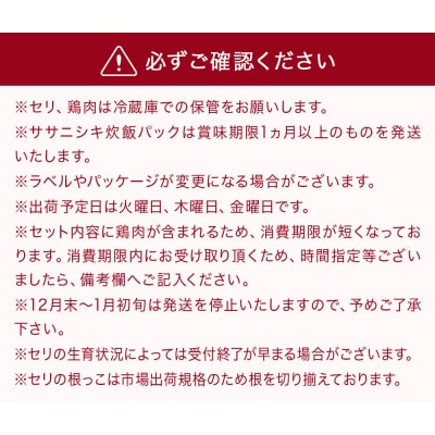 <12月配送> せり鍋セット せり5束 3-4人前 河北せり 鍋 せり 鍋セット 宮城県産 セリ鍋