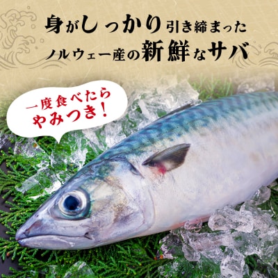 < 訳あり > 無添加 塩サバフィレ 1kg 魚 塩さば 冷凍 不揃い 規格外 焼き魚 焼魚 煮魚 