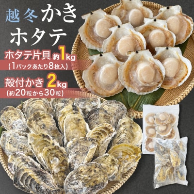 ホタテ片貝 越冬殻付かき 贅沢セット 加熱用 牡蠣 かき カキ 帆立 ホタテ ほたて 片貝 殻付き