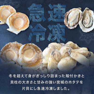 ホタテ片貝 越冬殻付かき 贅沢セット 加熱用 牡蠣 かき カキ 帆立 ホタテ ほたて 片貝 殻付き
