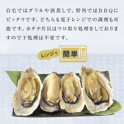ホタテ片貝 越冬殻付かき 贅沢セット 加熱用 牡蠣 かき カキ 帆立 ホタテ ほたて 片貝 殻付き