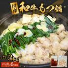 国産和牛もつ鍋2人前 6回分 冷凍 スープ付 モツ ホルモン モツ鍋 牛モツ 牛 和牛 鍋セット