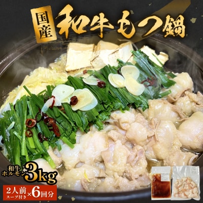 国産和牛もつ鍋2人前 6回分 冷凍 スープ付 モツ ホルモン モツ鍋 牛モツ 牛 和牛 鍋セット