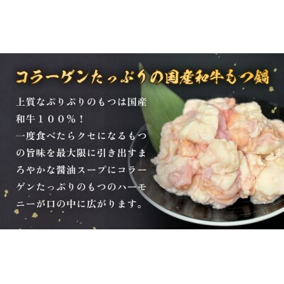 国産牛和もつ鍋2人前 10回分 冷凍 スープ付 モツ ホルモン モツ鍋 牛モツ 牛 和牛 鍋セット