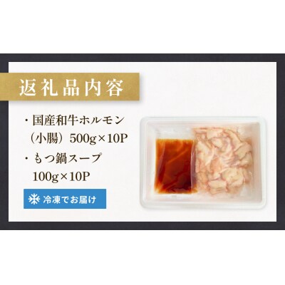 国産牛和もつ鍋2人前 10回分 冷凍 スープ付 モツ ホルモン モツ鍋 牛モツ 牛 和牛 鍋セット
