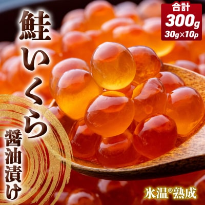  ݖЂ ( 30g×2p ) × 5 v300g Xn CN  