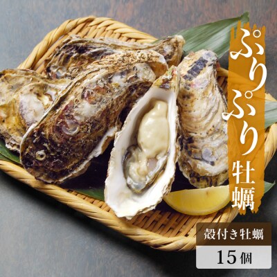 殻付き牡蠣 15個 生食用 牡蠣 カキ 殻付き 冷蔵 宮城 かき 海鮮 魚介 貝類 海の幸 海産物 