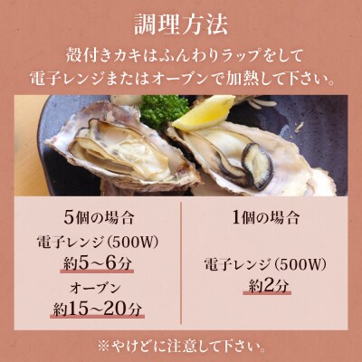 殻付き牡蠣 15個 生食用 牡蠣 カキ 殻付き 冷蔵 宮城 かき 海鮮 魚介 貝類 海の幸 海産物 