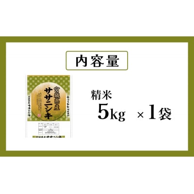米 令和7年産 ササニシキ 精米 5kg 新米 お米 ごはん ご飯 飯 5キロ 単一銘柄米 主食