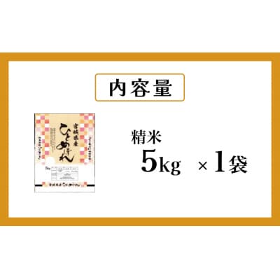 米 ひとめぼれ 精米 5kg 令和7年産 新米 白米 ヒトメボレ お米 ごはん ご飯