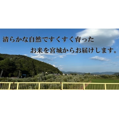 米 ひとめぼれ 精米 10kg 令和7年産 新米 白米 ヒトメボレ お米 ごはん ご飯