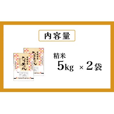 米 ひとめぼれ 精米 10kg 令和7年産 新米 白米 ヒトメボレ お米 ごはん ご飯