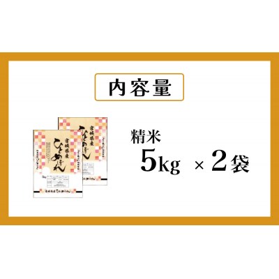 米 ひとめぼれ 精米 10kg 令和7年産 白米 ヒトメボレ お米 ごはん ご飯