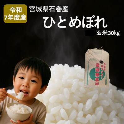 米 ひとめぼれ 玄米 30kg 令和7年産 新米 ヒトメボレ お米 ごはん ご飯