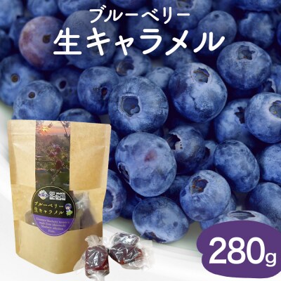 < 先行予約 > ブルーベリー 生キャラメル 280g 無添加 摘みたて 自然栽培 手作り 果実