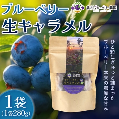 ブルーベリー 生キャラメル 280g 無添加 摘みたて 自然栽培 手作り 果実