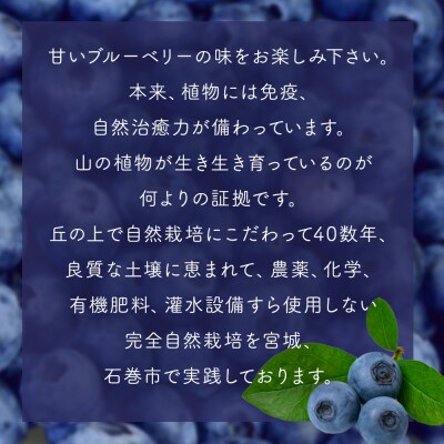 < 先行予約 > ブルーベリー 生キャラメル 280g 無添加 摘みたて 自然栽培 手作り 果実