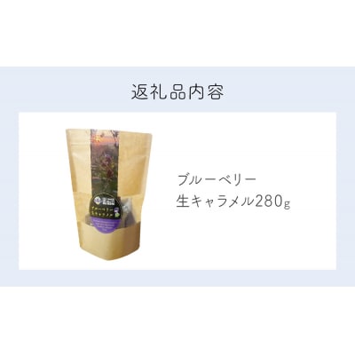 < 先行予約 > ブルーベリー 生キャラメル 280g 無添加 摘みたて 自然栽培 手作り 果実