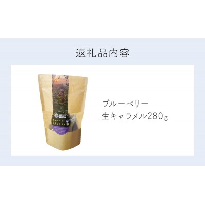 ブルーベリー 生キャラメル 280g 無添加 摘みたて 自然栽培 手作り 果実