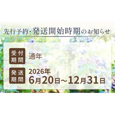 < 先行予約 > ブルーベリー 生キャラメル 280g 無添加 摘みたて 自然栽培 手作り 果実