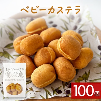 ベビーカステラ 100個 カステラ お菓子 スイーツ おやつ 焼菓子 和菓子 プレーン 冷凍