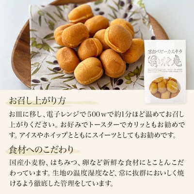 ベビーカステラ 100個 カステラ お菓子 スイーツ おやつ 焼菓子 和菓子 プレーン 冷凍