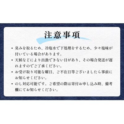 海鮮串セット タコ串 アナゴ串 アンコウ串 たこ タコ 蛸 アナゴ 穴子 あなご あんこう アンコウ