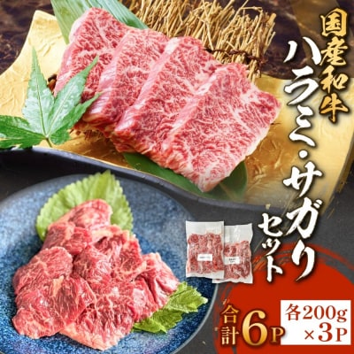国産和牛 ハラミ サガリ セット 6P 国産 和牛 牛肉 肉 お肉 はらみ さがり 宮城県産 焼肉 