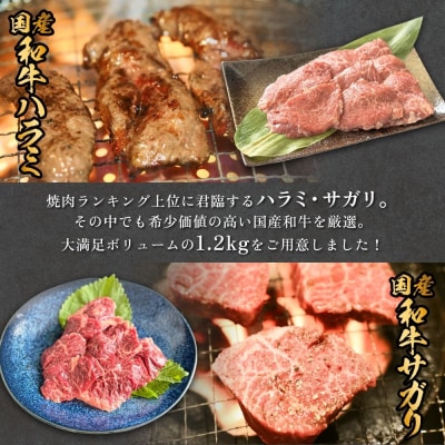 国産和牛 ハラミ サガリ セット 6P 国産 和牛 牛肉 肉 お肉 はらみ さがり 宮城県産 焼肉 