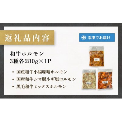 和牛ホルモン3種 各280g×1P 牛ホルモン 味噌ホルモン 塩ホルモン ミックスホルモン 味噌 塩