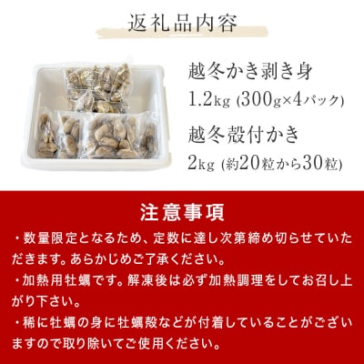 越冬かき剥き身 越冬殻付かき セット 加熱用 牡蠣 かき カキ 剥き身 むき身 殻付き 殻つき 貝