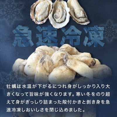 越冬かき剥き身 越冬殻付かき セット 加熱用 牡蠣 かき カキ 剥き身 むき身 殻付き 殻つき 貝