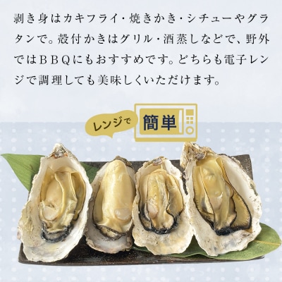 越冬かき剥き身 越冬殻付かき セット 加熱用 牡蠣 かき カキ 剥き身 むき身 殻付き 殻つき 貝