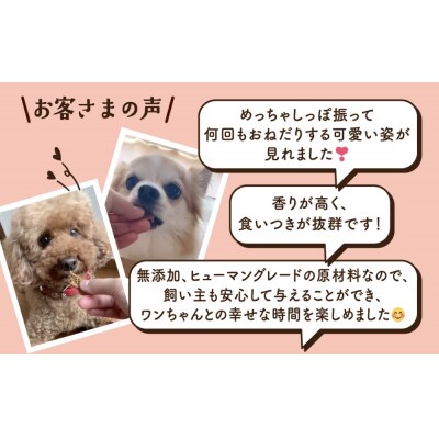 ワンちゃんのおやつ 鶏豚鰹 MIX 12袋 ドッグフード 犬 おやつ 無添加 グルテンフリー 国産