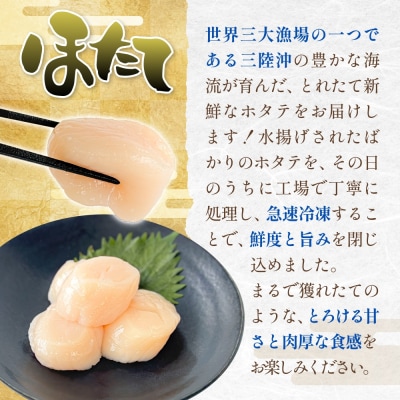 宮城県産 ホタテ 牡蠣 セット 牡蠣むき身 むき身 むき牡蠣 カキ オイスター 帆立