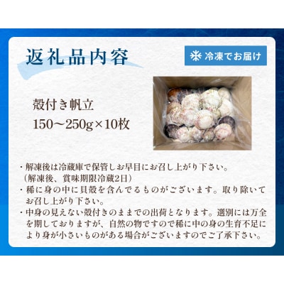 【冷凍・生食用】 殻付き帆立 10枚 帆立 ホタテ ほたて 殻付き 生食 生食用 肉厚