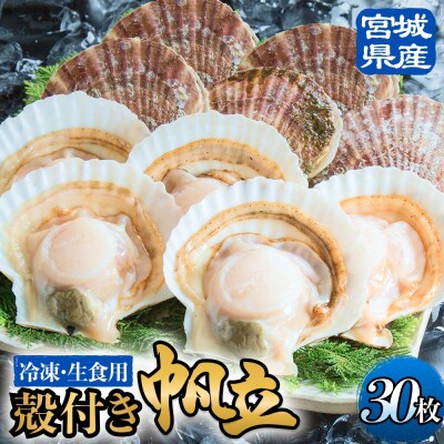 【冷凍・生食用】 殻付き帆立 30枚 帆立 ホタテ ほたて 殻付き 生食 生食用 肉厚